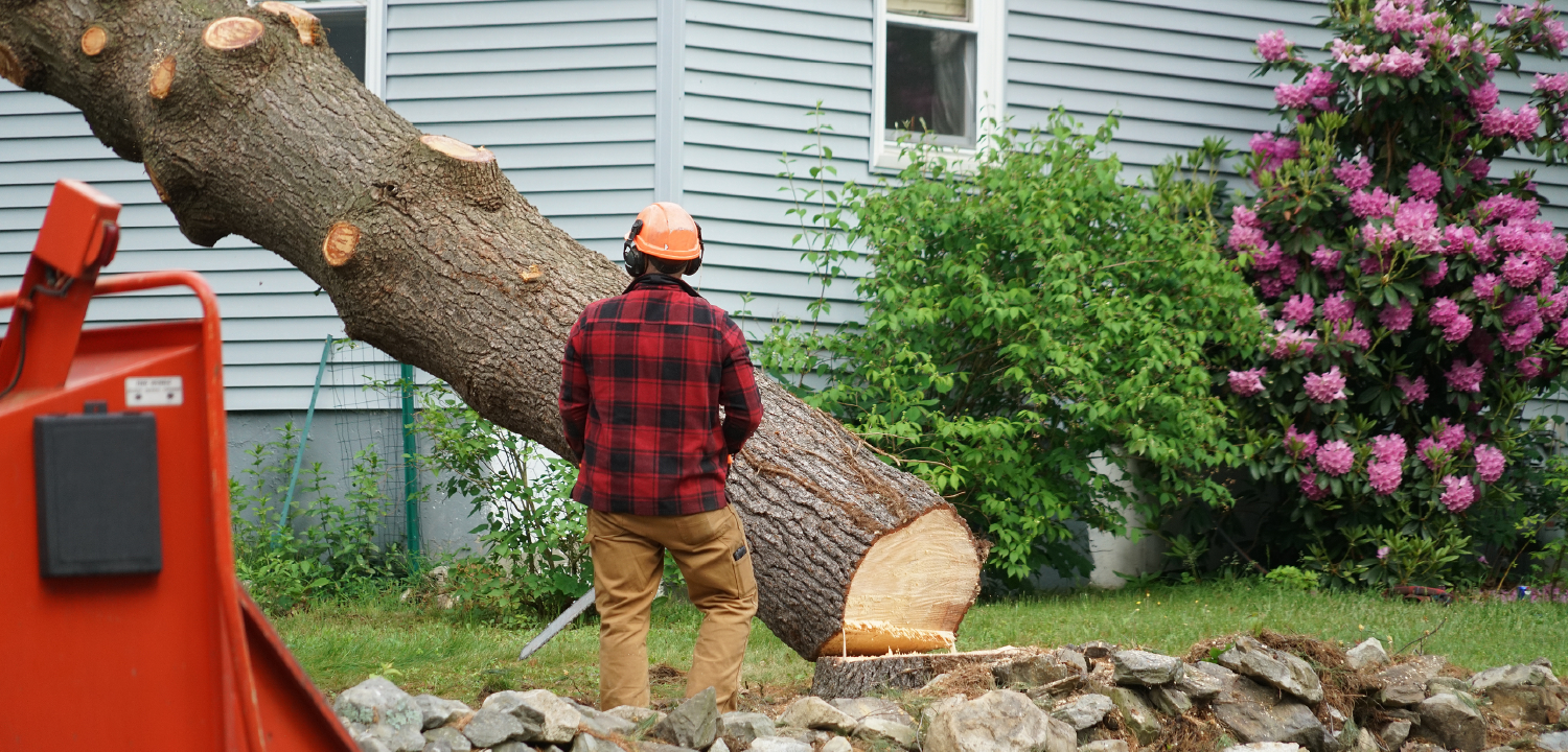 Armstrong Tree Removal Armstrong Tree Removal